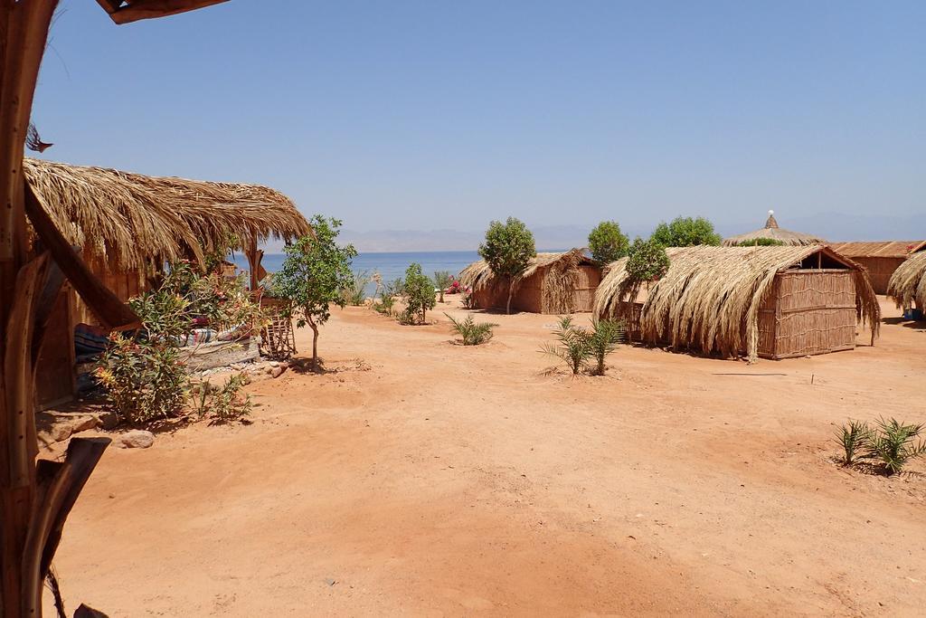 Готель Bedouin Star Таба Екстер'єр фото