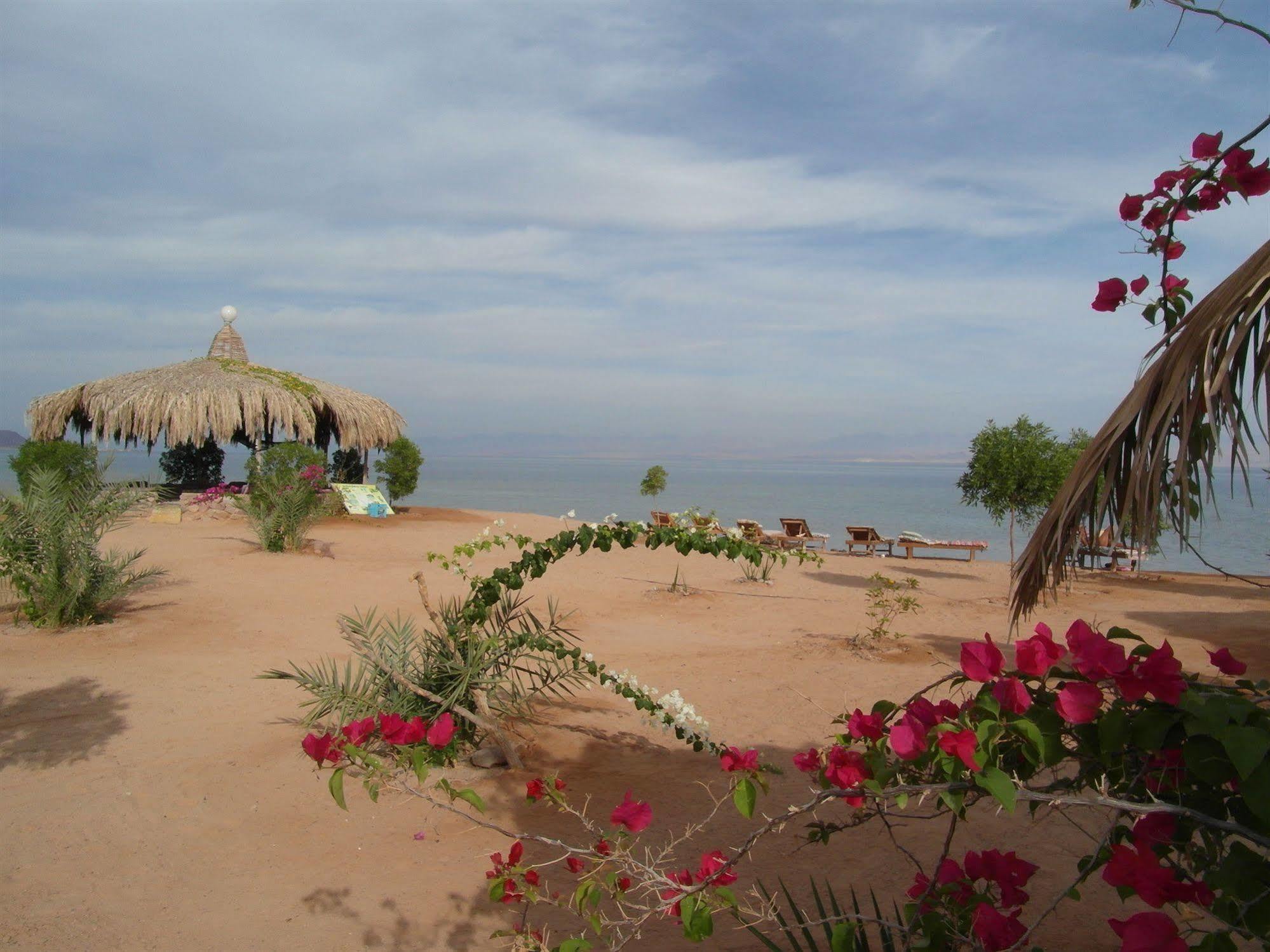 Готель Bedouin Star Таба Екстер'єр фото